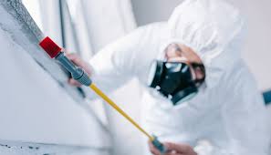 Best Residential Pest Control  in Forsyth, IL